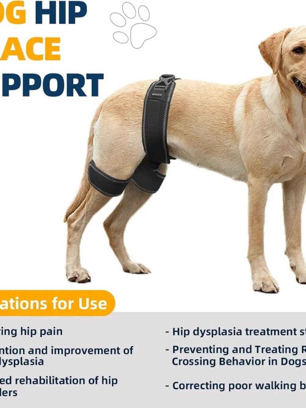 CHAMIN Dog Hip Brace